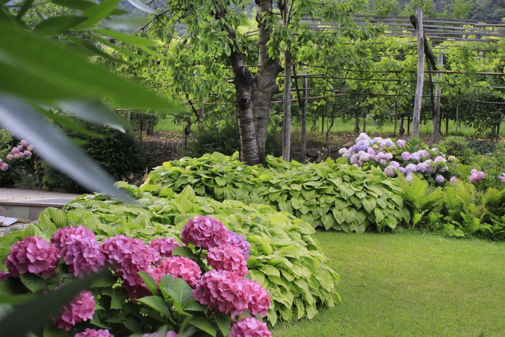 Apartments Gasserhof Lagundo Εξωτερικό φωτογραφία